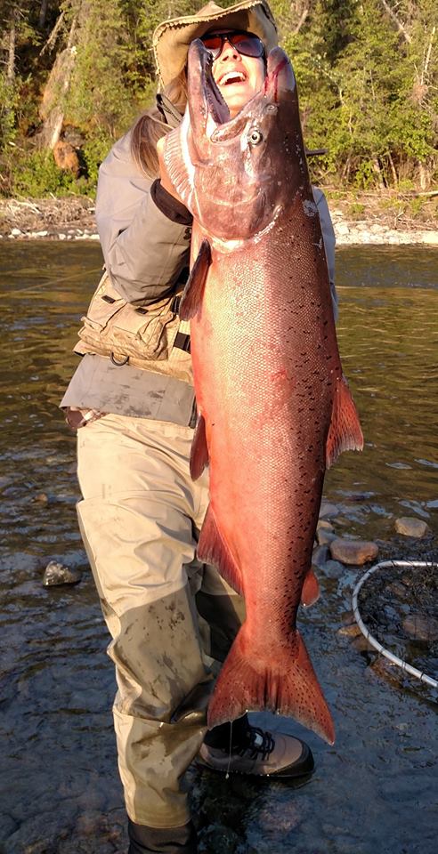 King salmon fishing