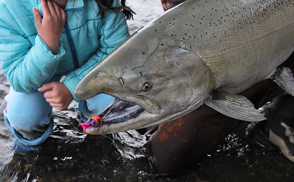 full-day-salmon-fishing